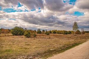 Primavera panorama com uma sujeira estrada, Campos, árvores e céu com nuvens dentro Polônia foto