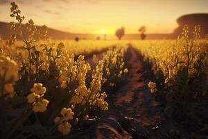 uma campo do amarelo flores com a Sol configuração dentro a fundo, generativo ai foto