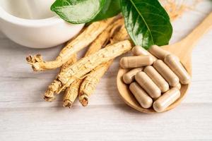 ginseng, erva vegetal seca. comida saudável famosa exportação de alimentos no país da Coréia. foto