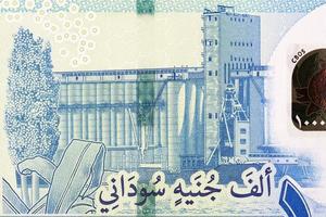 grão silo a partir de sudanês dinheiro foto