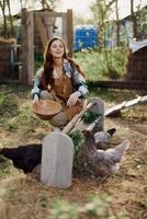 mulher feeds galinhas orgânico Comida para pássaro saúde e Boa ovos e Cuidado para a meio Ambiente foto