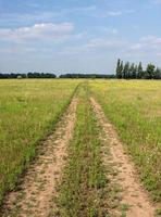 Visão em campo estrada foto