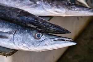 fechar-se do baracuda peixe cabeça dentro victoria Cidade mercado, mahe seychelles foto