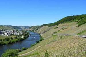 Mosel às Vila trittenheim dentro verão foto