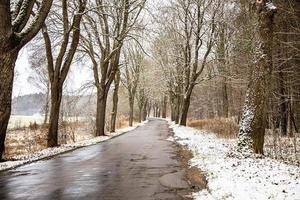 velho asfalto estrada entre árvores em uma Nevado frio inverno dia dentro Polônia foto