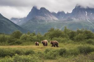 Castanho Urso e dois filhotes contra uma floresta e montanha pano de fundo às katmai nacional parque, Alaska foto