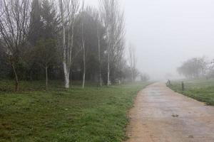 eu calma panorama com estrada dentro enevoado cinzento invernos dia foto