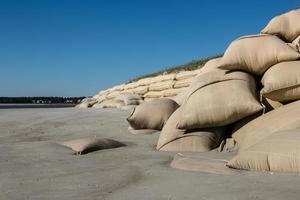 areia bolsas em a de praia para proteger a dunas foto