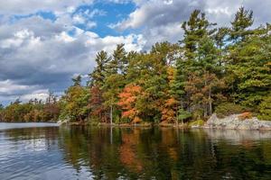 colorida outono folhas às uma lago foto