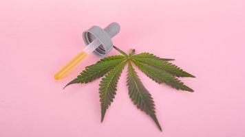 folha de cannabis e pipeta com thc em um fundo rosa