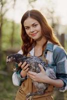 uma feliz jovem mulher sorridente e segurando uma jovem frango este lays ovos para dela Fazenda foto