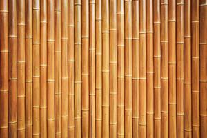 bambu natural texturizado fundo foto