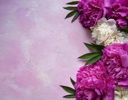 flores de peônia em um fundo rosa de concreto foto