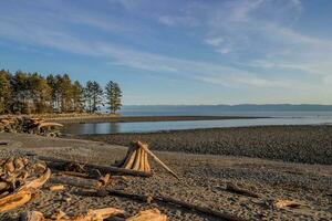 madeira flutuante em a de praia em uma calma dia às Jordânia rio em Vancouver ilha foto