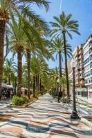 verão panorama com paseo de la explicada alicante dentro Espanha foto