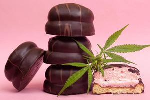biscoito de chocolate com extrato de thc e cbd em fundo rosa foto