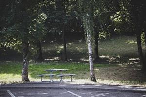 verão panorama piquenique Banco entre a árvores dentro a parque em uma ensolarado dia foto