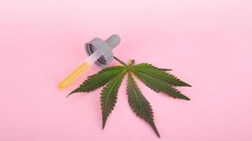 folha de cannabis e pipeta com extrato de concentrado de thc psicoativo em fundo rosa foto