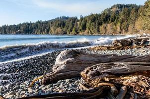 ampla madeira flutuante registro e pedras em a costa com ampla ondas quebra em a costa do a pacífico oceano em Vancouver ilha foto