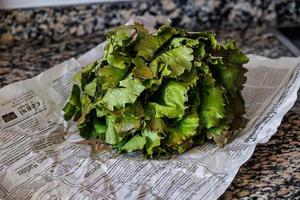 grande orgânico verde saudável alface em a jornal dentro a cozinha foto