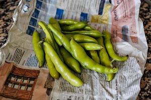 ampla verde feijões coletado dentro a jardim em a diariamente jornal foto