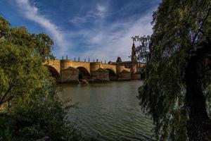 Primavera urbano panorama com pilar catedral dentro zaragoza, Espanha e a Ebro rio foto