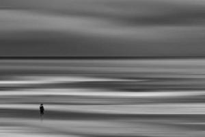 sereno panorama do uma mulher em a margens do a azul mar foto