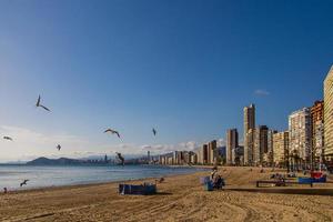 panorama do Benidorm Espanha dentro uma ensolarado dia em a Beira Mar com gaivotas foto