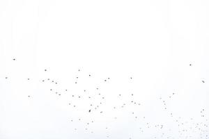 fundo rebanho do Preto pássaros dentro a céu isolado textura para obra de arte foto