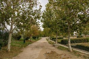 outono beco com árvores dentro uma parque dentro Zaragoza Espanha foto