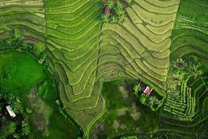 aéreo Visão lindo manhã Visão a partir de Indonésia sobre montanha e floresta foto