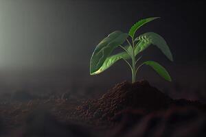 jovem plantar crescendo dentro luz solar. agricultura plantar semeadura crescendo degrau conceito dentro jardim e luz solar. generativo ai foto