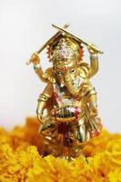 ouro ganesha Deus é a senhor do sucesso Deus do hinduísmo em calêndula flores isolado em branco fundo. foto