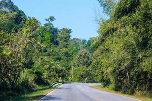 curva estrada dentro a montanha e floresta, país estrada dentro Tailândia foto