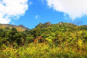 lindo panorama do rochoso calcário montanha e verde floresta com blu céu às Chiang doa nacional parque dentro chiangmai, Tailândia foto