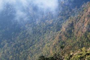 dourado luz com nascer do sol dentro manhã em a céu e clound em a montanha. névoa cobrir a selva Colina dentro Tailândia foto