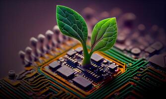 crescendo árvore em a convergindo ponto do um computador o circuito borda. natureza com digital convergência e tecnológica convergência. verde Informática, verde tecnologia, verde isto, RSC, generativo ai foto