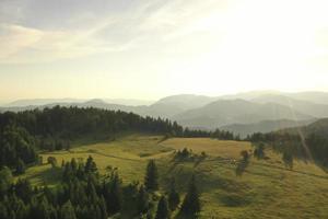 vista aérea na floresta da montanha em um dia de verão foto