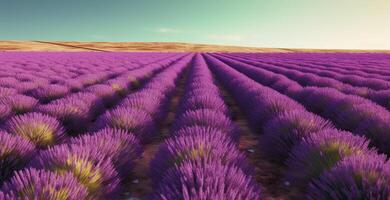 lavanda campo. generativo ai. foto