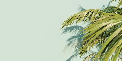banner de folhas de palmeira em fundo azul com espaço para texto, renderização 3D foto