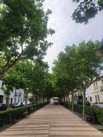 beco com verde árvores em uma verão dia e uma cafeteria dentro uma espanhol Cidade foto