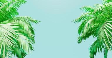 banner de fundo azul com palmeiras nas laterais, renderização em 3D foto