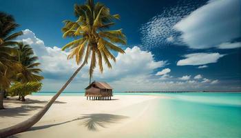 coco Palma árvore em surpreendente perfeito branco arenoso de praia dentro ilha do Maldivas. . gerar ai. foto