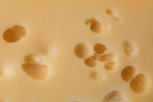 queijo textura com ampla buracos. foto