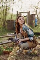 uma mulher agricultor detém uma frango e parece às isto para Verifica a saúde e geral condição do a pássaro em dela casa Fazenda dentro a ao ar livre caneta foto