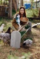 mulher agricultor sorrisos feeds pássaros galinhas orgânico Comida para pássaro saúde e Boa ovos e Cuidado para a ambiente, pôr do sol luz foto