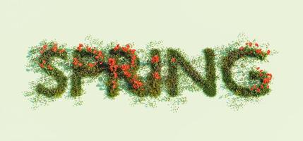 assinar com a palavra primavera de flores da primavera em um fundo verde, renderização 3D foto