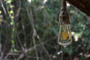 a vintage incandescente luminária é suspensão a partir de uma árvore dentro a floresta. seletivo foco. foto