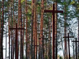 cruzes altas entre as árvores no cemitério militar polonês. memorial da segunda guerra mundial. foto