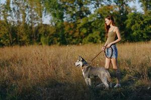 mulher e dela rouco cachorro alegremente andar e corre através a Relva dentro a campo sorrir com dentes outono pôr do sol andar com uma bicho de estimação, viagem com uma amigo cachorro felicidade estilo de vida foto